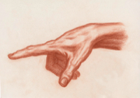 Human Hand 14 - Version 2